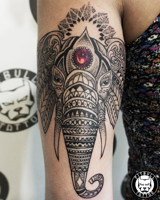 Tatoo photo Elephant tattoo bamboo tattoo  1414251