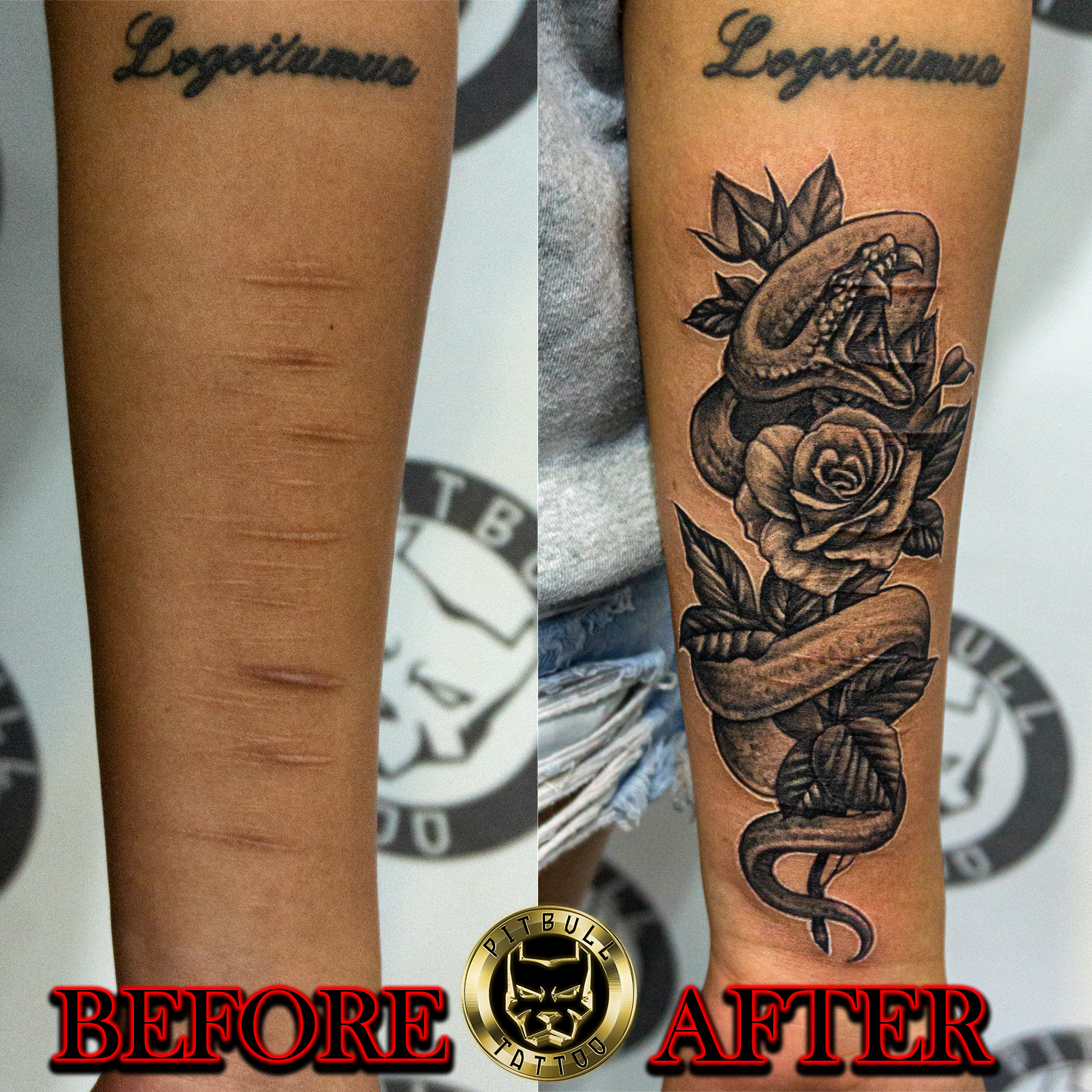 Over Scars Tattoo Specializations